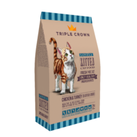 cat food for your cat kitten food