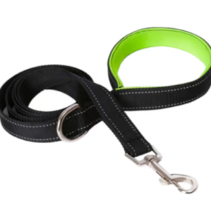 leash for dogs and cats