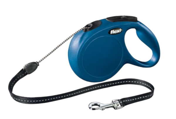 leash for your dog