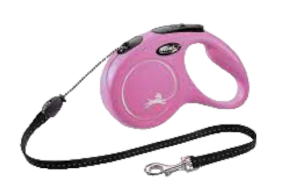 leash for your dog