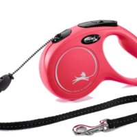 leash for your dog